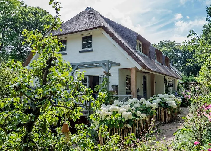 B&B Groen