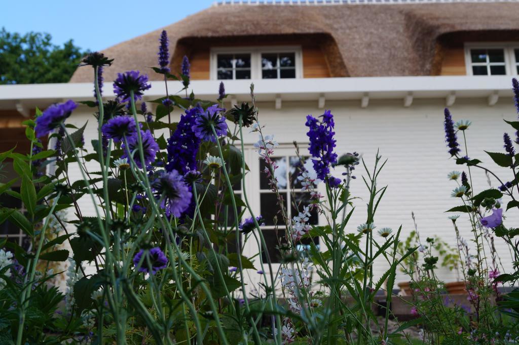 Bed & Breakfast Groen