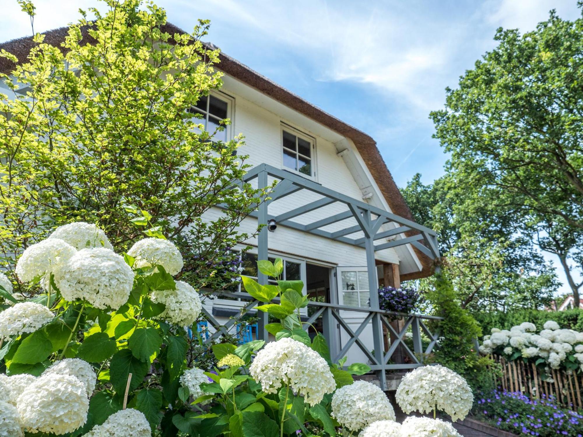 Groen Bed & Breakfast Haarlem