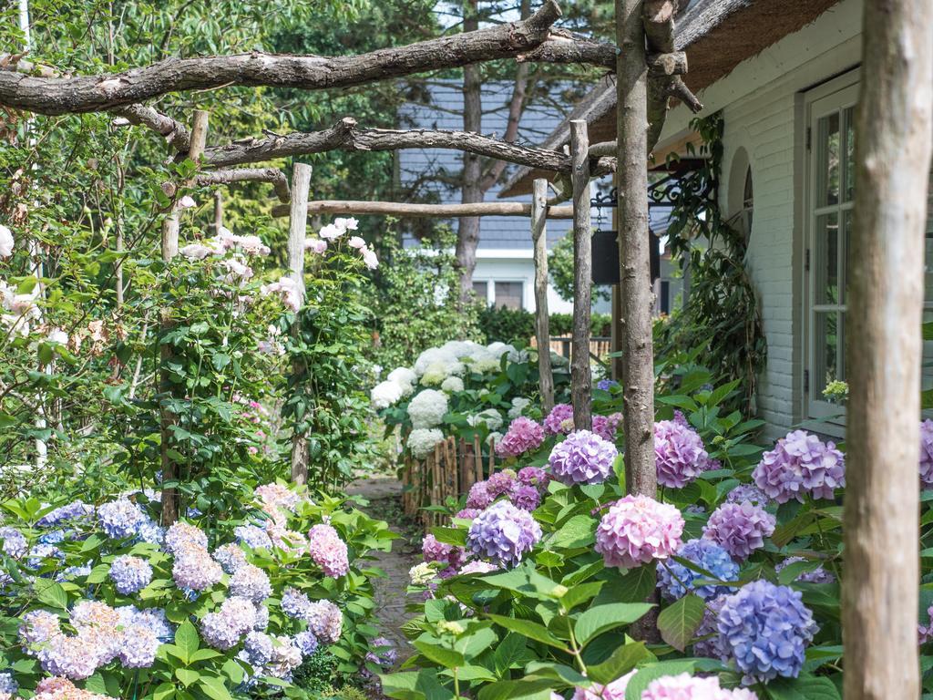 Groen Bed & Breakfast Haarlem