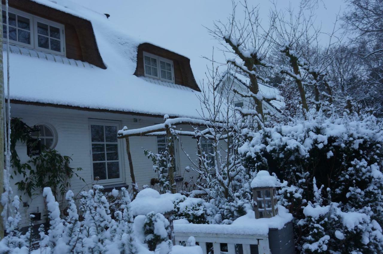 Groen Bed & Breakfast Haarlem