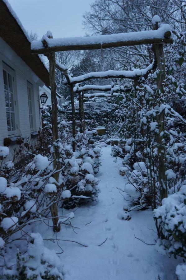 Groen Haarlem